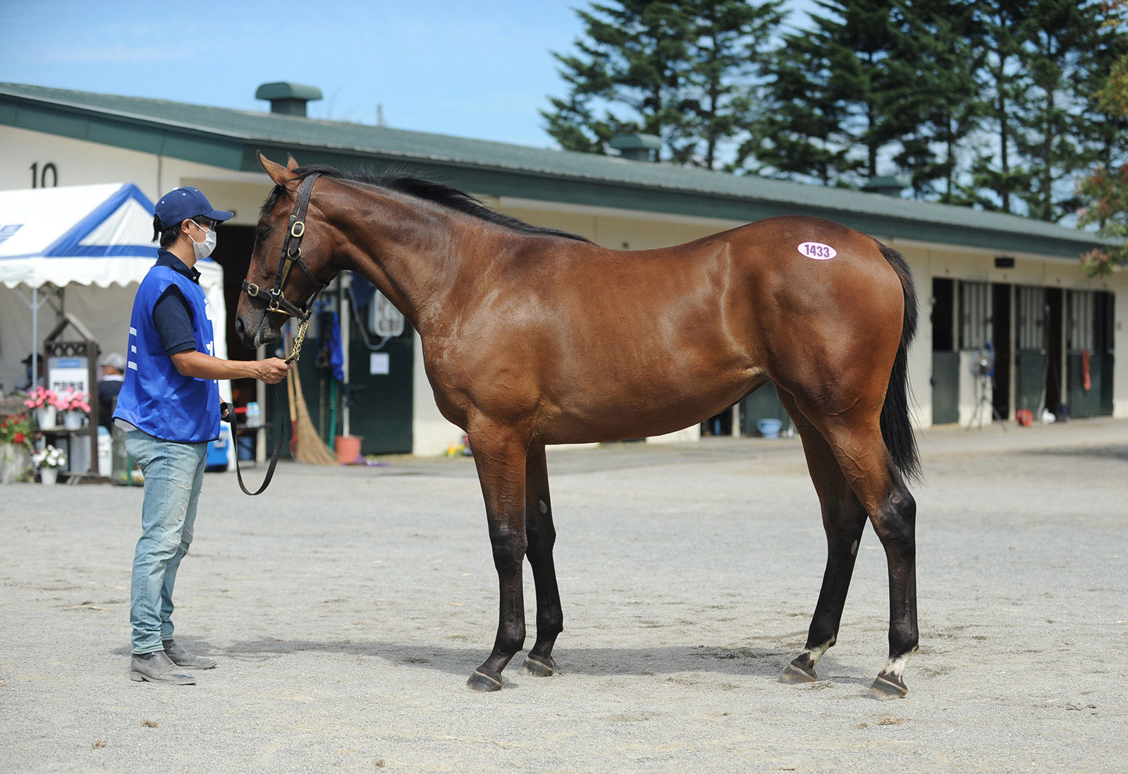 Individual Inspections